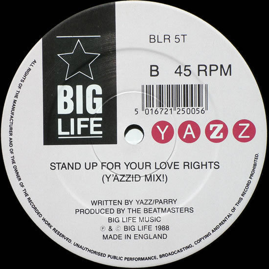 Yazz : Stand Up For Your Love Rights (12")
