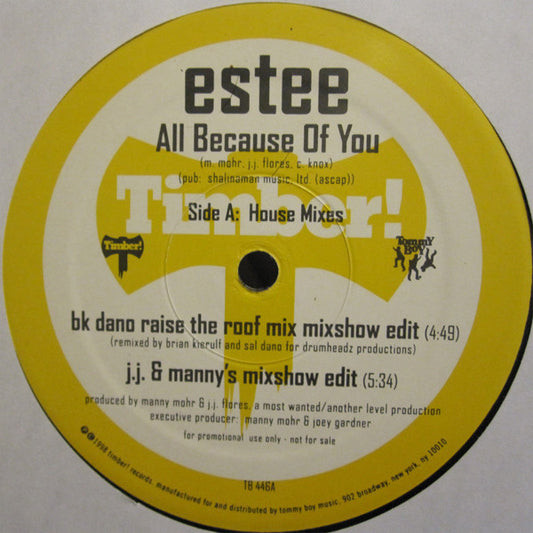 Estee : All Because Of You (12", Promo)