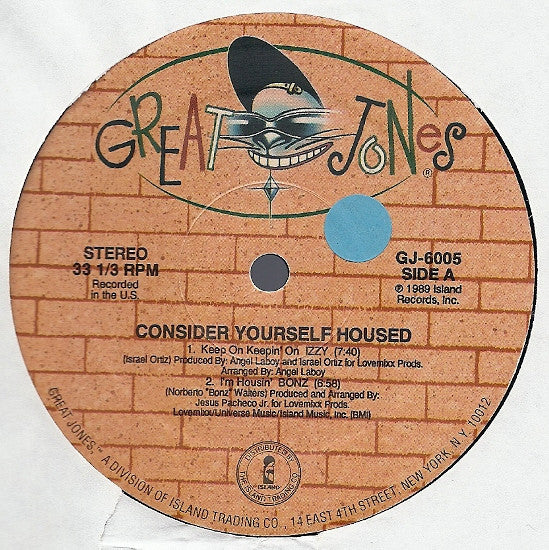 Various : Consider Yourself Housed (LP)