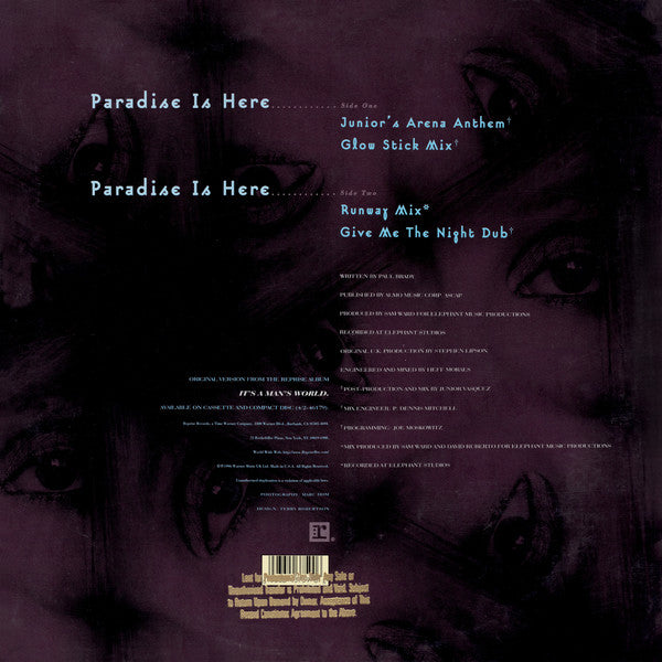 Cher : Paradise Is Here (12", Maxi)