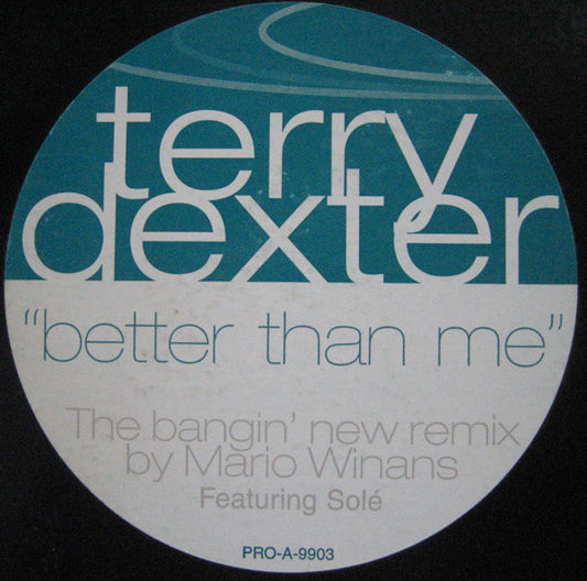Terry Dexter Featuring Solé : Better Than Me (12", Promo)