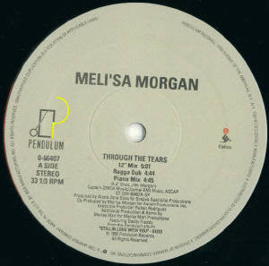 Meli'sa Morgan : Through The Tears (12")