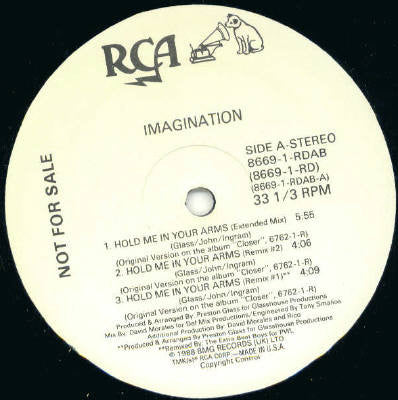 Imagination : Hold Me In Your Arms (12", Promo)
