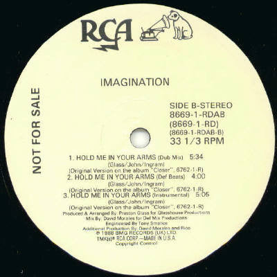 Imagination : Hold Me In Your Arms (12", Promo)