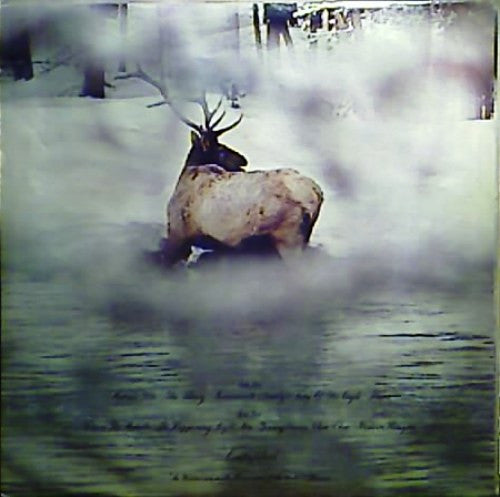 The L.A. Express : L.A. Express (LP, Album, Promo)