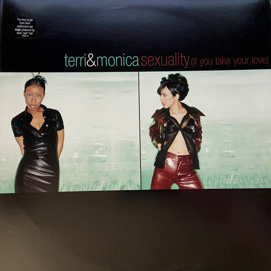 Terri & Monica : Sexuality (If You Take Your Love) (12", Promo)