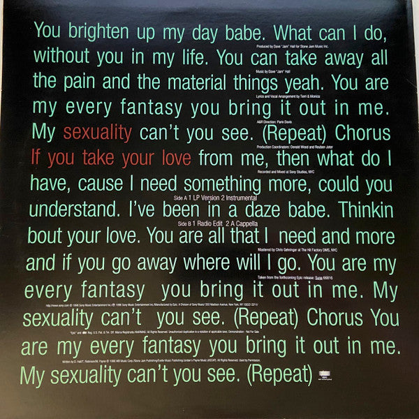 Terri & Monica : Sexuality (If You Take Your Love) (12", Promo)