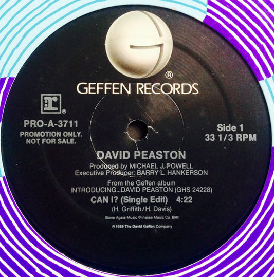 David Peaston : Can I? (12", Promo)