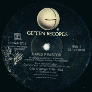 David Peaston : Can I? (12", Promo)