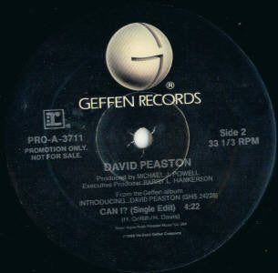 David Peaston : Can I? (12", Promo)