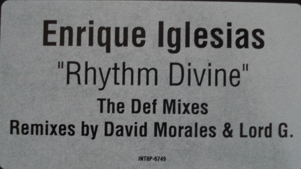 Enrique Iglesias : Rhythm Divine (12")