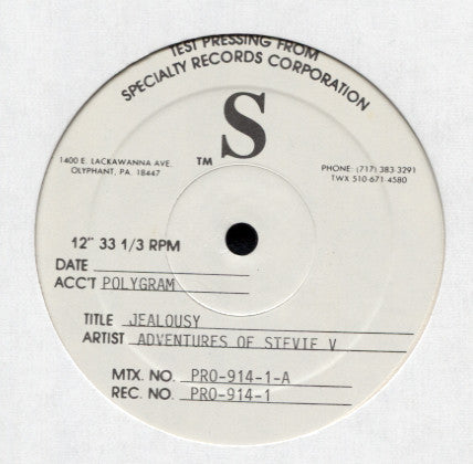 Adventures Of Stevie V. : Jealousy (12", TP)