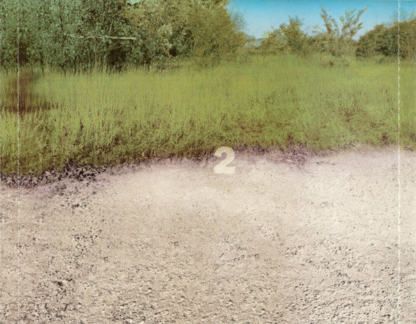 Steely Dan : Two Against Nature (CD, Album)