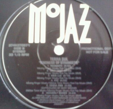 Terra Sul : Kindness Of Strangers (LP, Album, Promo)