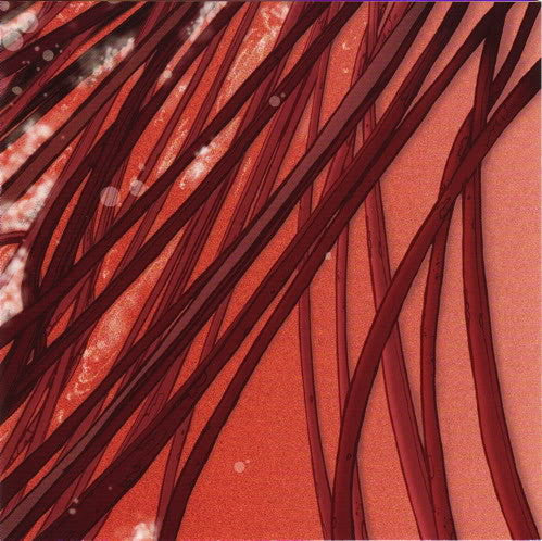 Recloose : Cardiology (CD, Album)