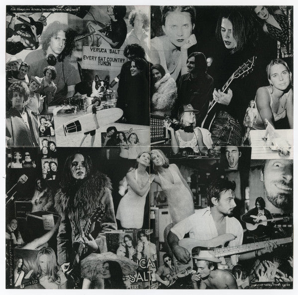 Veruca Salt : Eight Arms To Hold You (CD, Album)