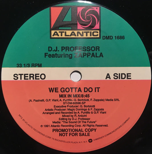 DJ Professor Featuring Francesco Zappalà : We Gotta Do It (12", Promo)