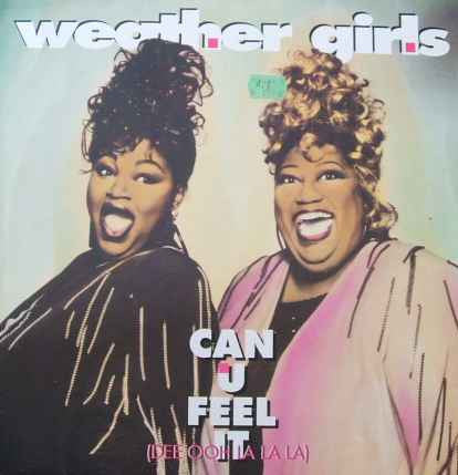 The Weather Girls : Can U Feel It (12")