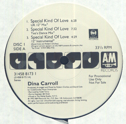 Dina Carroll : Special Kind Of Love (2x12", Promo)