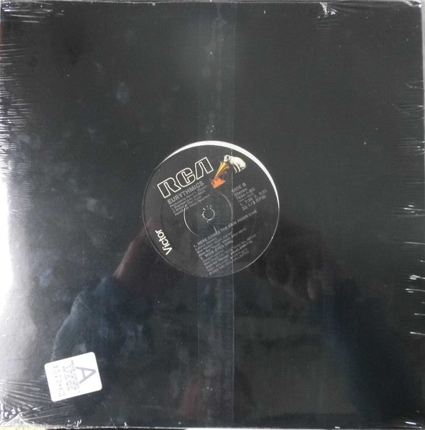 Eurythmics : You Have Placed A Chill In My Heart (12")