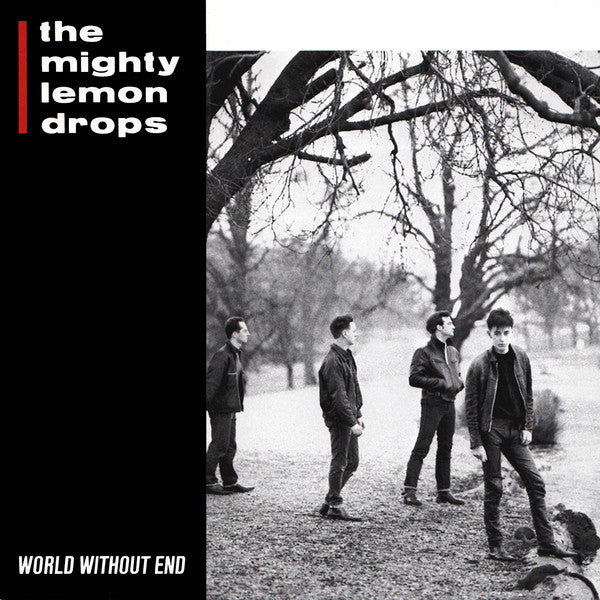 The Mighty Lemon Drops : World Without End (CD, Album)