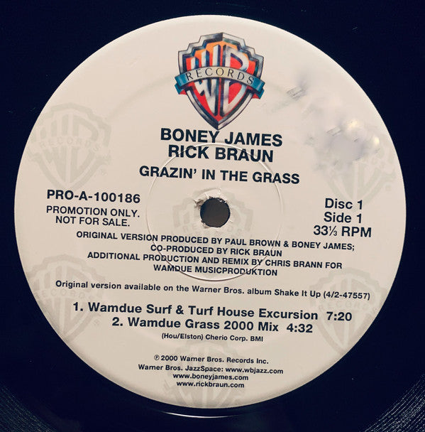 Boney James & Rick Braun : Grazin' In The Grass (2x12", Promo)