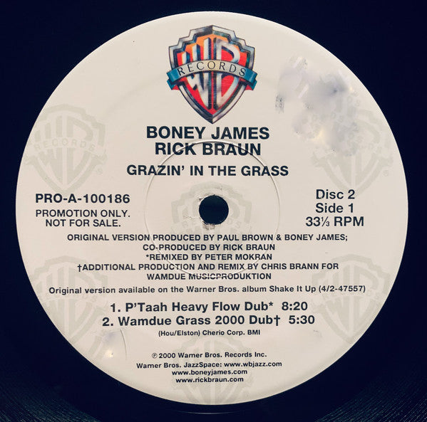 Boney James & Rick Braun : Grazin' In The Grass (2x12", Promo)