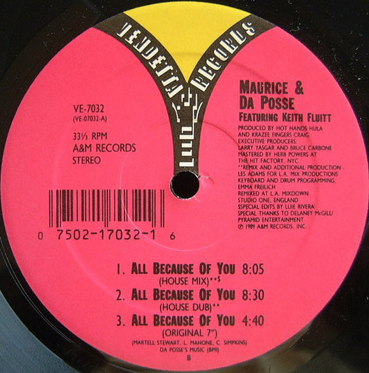 Maurice Joshua & Da Posse : All Because Of You (12")