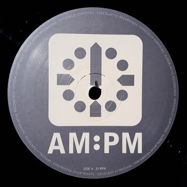 The Absolute : Catch Me (M&S Productions / The Problem Kids Mixes) (12")