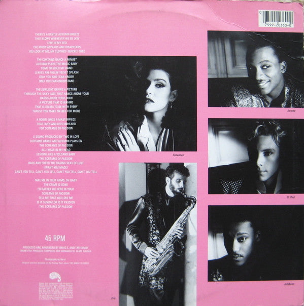 The Family (2) : The Screams Of Passion (12", Maxi, All)