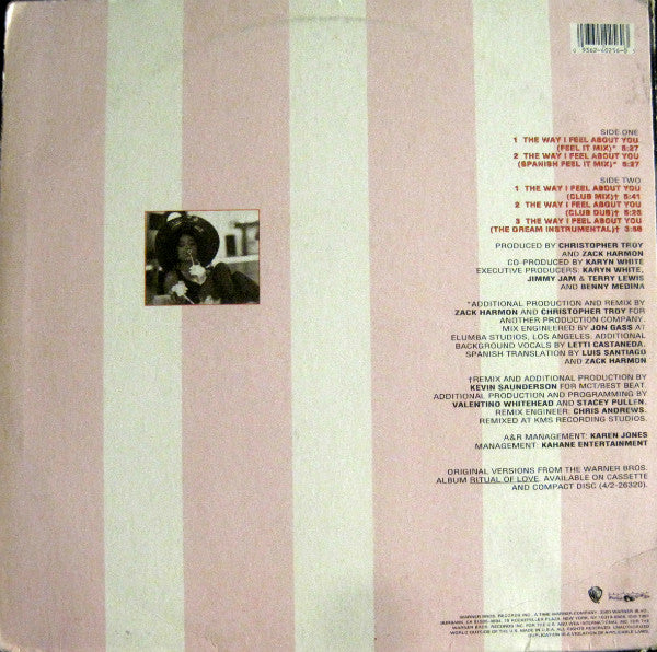 Karyn White : The Way I Feel About You (12", Maxi)