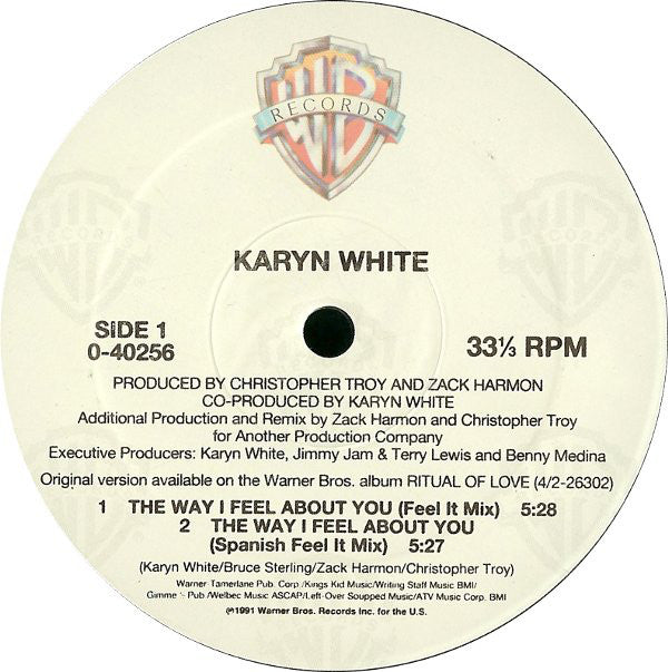 Karyn White : The Way I Feel About You (12", Maxi)