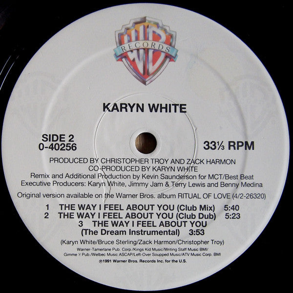 Karyn White : The Way I Feel About You (12", Maxi)
