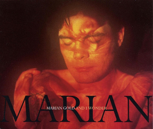 Marian Gold : And I Wonder (12", Single)