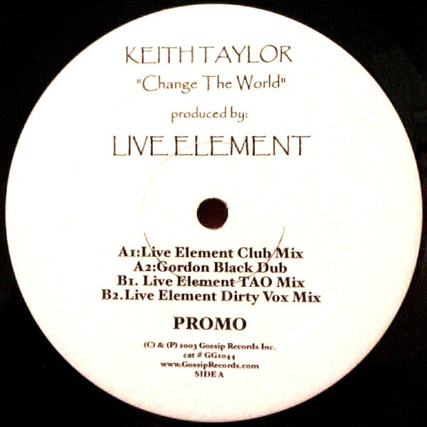 Keith Taylor : Change The World (12", Promo)