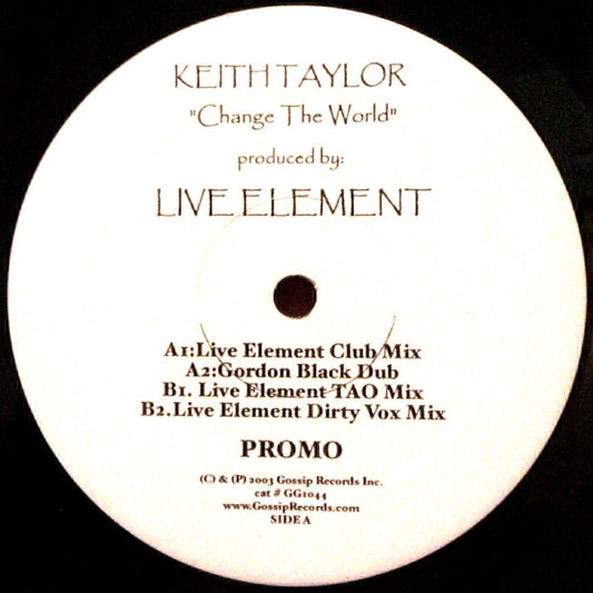 Keith Taylor : Change The World (12", Promo)