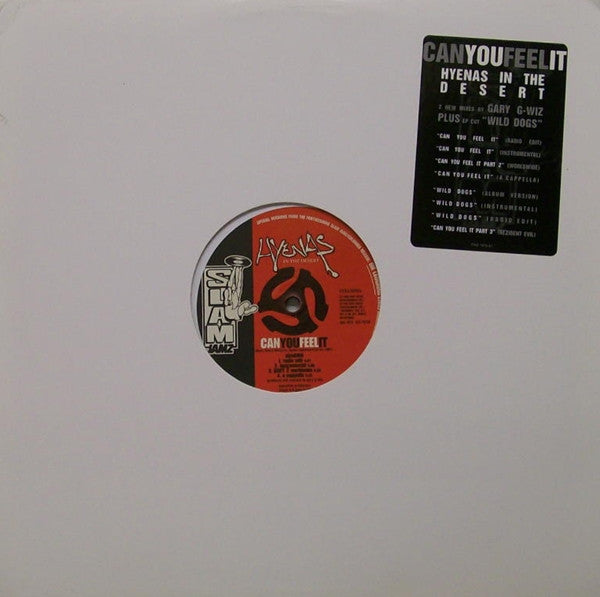 Hyenas In The Desert : Can You Feel It / Wild Dogs (12", Promo)