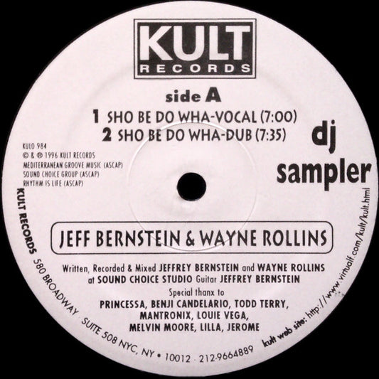 Wayne Rollins & Jeff Bernstein / 95 North : DJ Sampler (12", Smplr)