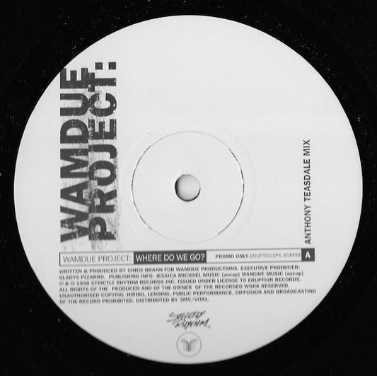 Wamdue Project : Where Do We Go? (12", Ltd, Promo)