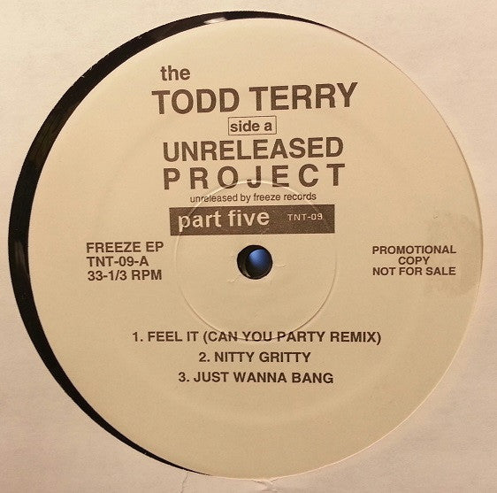 Todd Terry : The Todd Terry Unreleased Project Part 5 (12", EP, Promo)