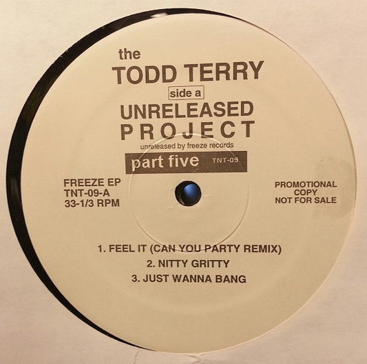 Todd Terry : The Todd Terry Unreleased Project Part 5 (12", EP, Promo)