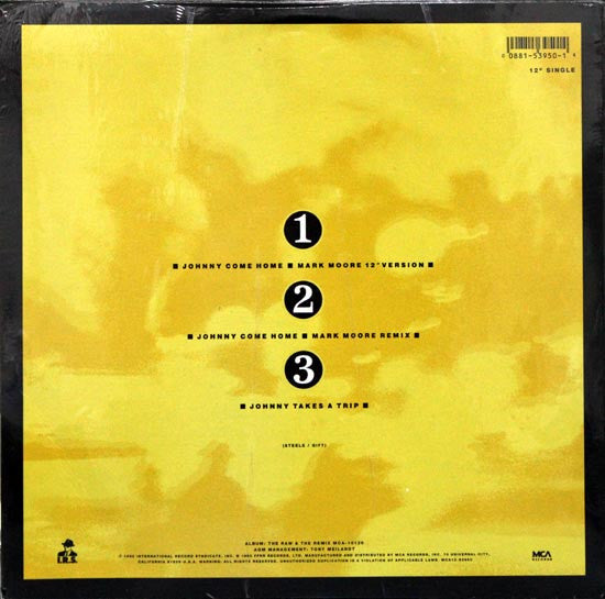 Fine Young Cannibals : Johnny Come Home (Mark Moore 12" Version) (12", Single)
