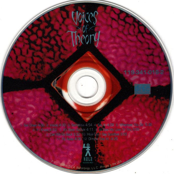 Voices Of Theory : Voices Of Theory (CD, Album)