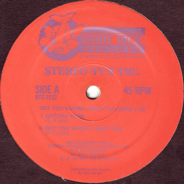 Stereo Fun Inc. : Got You Where I Want You Babe (12", Single)