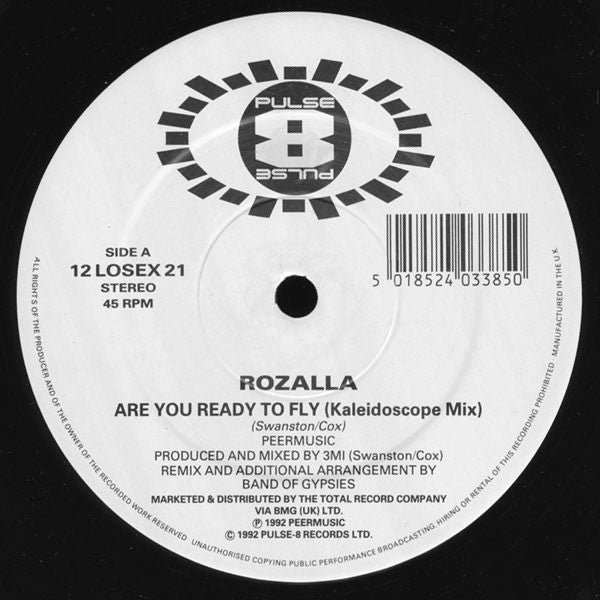 Rozalla : Are You Ready To Fly (Remix) (12")