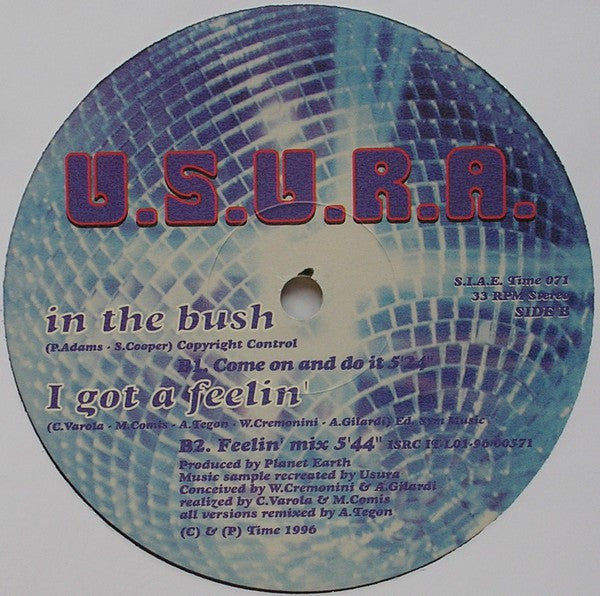 U.S.U.R.A. : In The Bush (12")