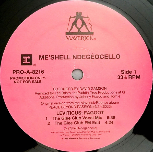 Me'Shell NdegéOcello : Leviticus: Faggot (12", Promo)