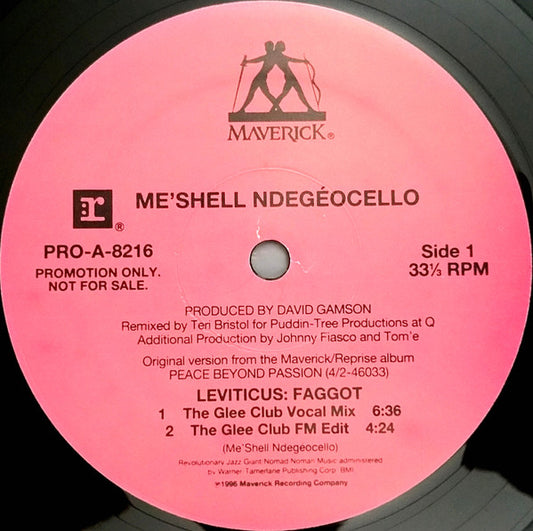 Me'Shell NdegéOcello : Leviticus: Faggot (12", Promo)