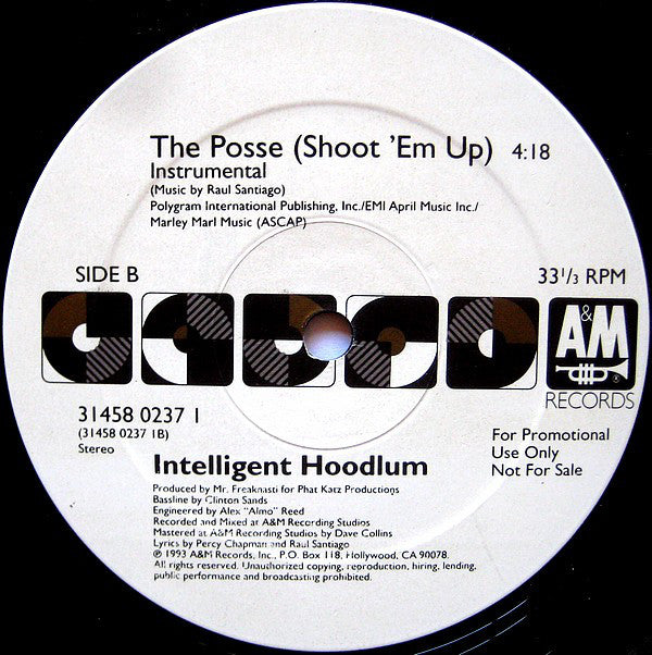 Intelligent Hoodlum : The Posse (Shoot 'Em Up) (12", Single, Promo)