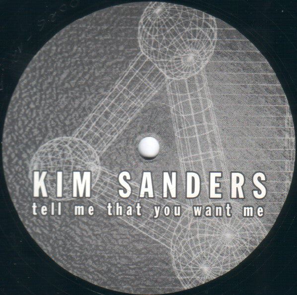 Kim Sanders : Tell Me That You Want Me (12")